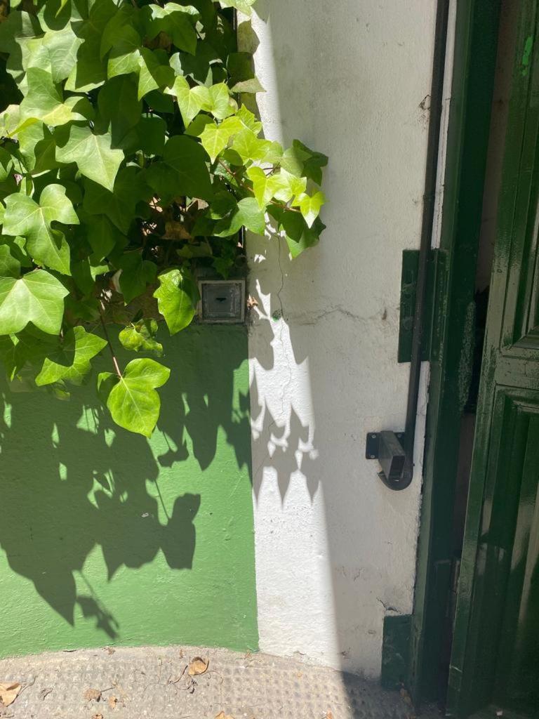 Rentalsevilla San Clemente Экстерьер фото
