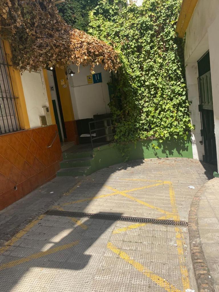 Rentalsevilla San Clemente Экстерьер фото